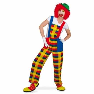 Clown pebbi verkleedkostuum voor volwassenen