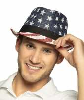 1x usa verkleed hoeden voor volwassenen