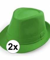 2x goedkope groene verkleed hoedjes voor volwassenen