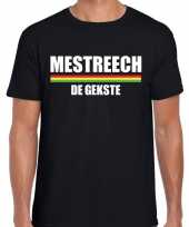 Carnaval mestreech de gekste t-shirt zwart voor heren