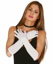 Carnaval witte gala handschoenen