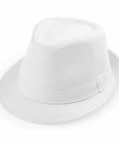 Goedkope witte verkleed hoedjes voor volwassenen