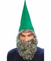 Verkleed hoed met baard groen